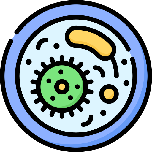 Cell Biology Learning